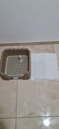 Продам туалет для шенка или маленькой собачки, новый, очень удобно убирать и мыть легко отучить от титулей, есть только 1 шт. в Ашдоде. image 1