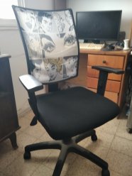 Продается кресло для компьютера на роликах с возможностью регулировки по высоте Цена 150 шек. image 0
